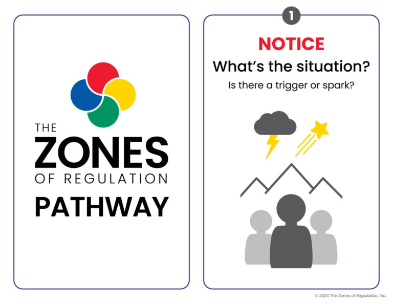 Zones Visual: Zones Pathway Step by Step